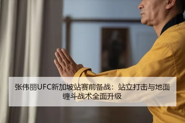 张伟丽UFC新加坡站赛前备战：站立打击与地面缠斗战术全面升级